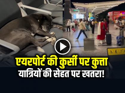 Viral-Video-Stray-Dog-on-Airport-chair-triggers-cleanliness-concerns | एयरपोर्ट की कुर्सी पर कुत्ता, यात्रियों की सेहत पर खतरा या इंसानियत की मिसाल? Viral-Video-Stray-Dog-on-Airport-chair-triggers-cleanliness-concerns | एयरपोर्ट की कुर्सी पर कुत्ता, यात्रियों की सेहत पर खतरा या इंसानियत की मिसाल?