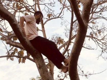 Virat Kohli Shares Throwback Picture Of Him to Climbing on A Tree And Chill | विराट कोहली ने शेयर की पेड़ पर चढ़कर चिल करने की थ्रोबैक तस्वीर, इरफान पठान ने किया मजेदार कमेंट