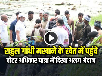 Voter Adhikar Yatra Rahul Gandhi with Makhana farmers in fields | VIDEO: राहुल गांधी मखाने के खेत में पहुंचे, वोटर अधिकार यात्रा में दिखा अलग अंदाज