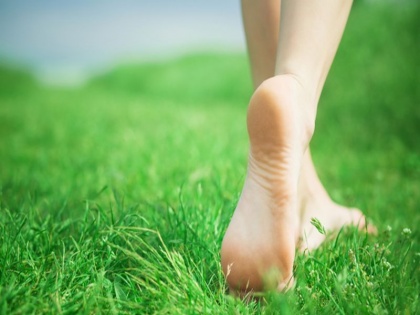 walking on green grass benefits: amazing health benefits Of walking barefoot on grass in the morning | घास पर चलने के फायदे : सुबह हरी घास पर नंगे पांव चलने से सेहत को हो सकते हैं ये 6 फायदे