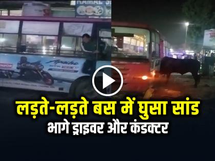 Watch Bull Entered the Bus While fighting, Driver and Conductor Ran Away | VIDEO: लड़ते-लड़ते बस में घुसा सांड, भागे ड्राइवर और कंडक्टर, देखें वीडियो