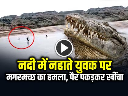 Watch Crocodile Attack Man During Bath in Chambal River Agra Video Goes Viral | VIDEO: नदी में नहाते युवक पर मगरमच्छ का हमला, पैर पकड़कर खींचा, 5 मिनट तक मौत से लड़ता रहा, देखें वीडियो Watch Crocodile Attack Man During Bath in Chambal River Agra Video Goes Viral | VIDEO: नदी में नहाते युवक पर मगरमच्छ का हमला, पैर पकड़कर खींचा, 5 मिनट तक मौत से लड़ता रहा, देखें वीडियो