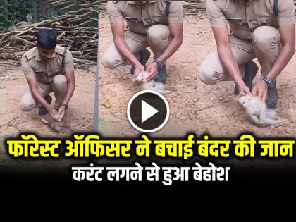 Watch Forest Officer Saved Baby Monkey Life giving cpr in Thiruvananthapuram video viral | Viral Video: फॉरेस्ट ऑफिसर ने बचाई बंदर की जान, करंट लगने से हुआ बेहोश, देखें वायरल वीडियो