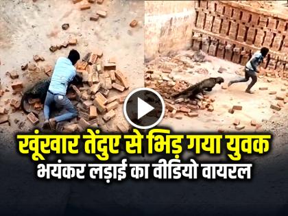 Watch Leopard Attack Man in Lakhimpur Kheri UP Man Fight with Leopard video viral | VIDEO: खूंखार तेंदुए से भिड़ गया युवक, भयंकर लड़ाई का वीडियो वायरल