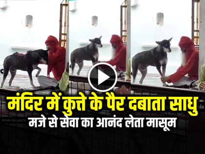 Watch Man Massaging a Dog feet in a temple video goes viral | VIDEO: मंदिर में कुत्ते के पैर दबाते साधु का वीडियो वायरल, मजे से सेवा का आनंद लेता मासूम...