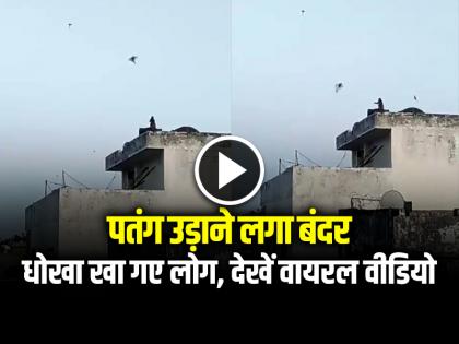 Watch Monkey Flying Kite on Roof in Banaras Video Goes Viral | VIDEO: पतंग उड़ाने लगा बंदर, धोखा खा गए लोग, देखें वायरल वीडियो Watch Monkey Flying Kite on Roof in Banaras Video Goes Viral | VIDEO: पतंग उड़ाने लगा बंदर, धोखा खा गए लोग, देखें वायरल वीडियो
