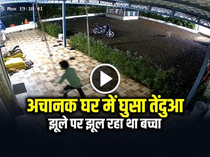 Watch Pune Leopard Enter in House in Khed Tehsil Village Video Viral | VIDEO: झूले पर झूल रहा था बच्चा, अचानक घर में घुसा तेंदुआ, देखें वायरल वीडियो Watch Pune Leopard Enter in House in Khed Tehsil Village Video Viral | VIDEO: झूले पर झूल रहा था बच्चा, अचानक घर में घुसा तेंदुआ, देखें वायरल वीडियो