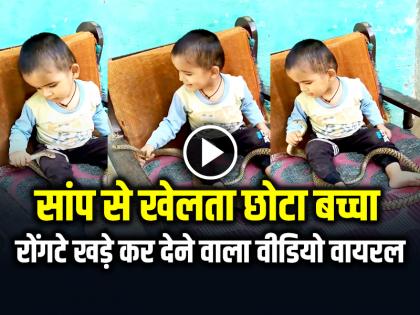 Watch Toddler Playing with a Snake Video Goes Viral on Social Media | VIDEO: सांप से खेलता छोटा बच्चा, रोंगटे खड़े कर देने वाला वीडियो वायरल
