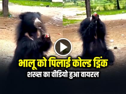 VIRAL: भालू को पिलाई कोल्ड ड्रिंक, शख्स का वीडियो हुआ वायरल