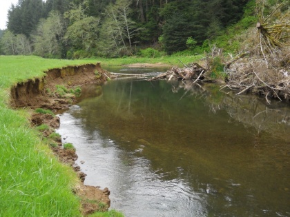 Resolve will have to be taken to save rivers and ponds | नदी-तालाबों को बचाने का लेना होगा संकल्प, अभिलाष खांडेकर का ब्लॉग