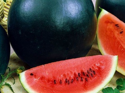 3 tricks to buy sweet red color watermelon in summer season | मीठे और लाल तरबूज की इन 3 तरीकों से करें पहचान