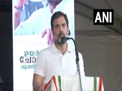 'My brothers and sisters of Wayanad...', Rahul Gandhi wrote an emotional letter to the people of Wayanad | 'वायनाड के मेरे प्यारे भाइयों और बहनों....', राहुल गांधी ने वायनाड के लोगों के लिए लिखी भावुक चिट्ठी