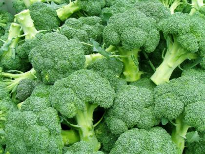 how to loss weight fast without supplement: include these 8 low calorie foods in your diet to loss weight fast | वजन कैसे कम करें : वजन घटाने के लिए खाएं कम कैलोरी वाली ये 7 चीजें, जल्दी नजर आ सकता है फर्क how to loss weight fast without supplement: include these 8 low calorie foods in your diet to loss weight fast | वजन कैसे कम करें : वजन घटाने के लिए खाएं कम कैलोरी वाली ये 7 चीजें, जल्दी नजर आ सकता है फर्क