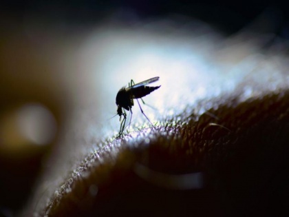 West Nile virus: Seven year old in Kerala tested positive, know causes, symptoms, prevention, treatment, cure of West Nile | भारत आया West Nile virus, जानें इस जानलेवा वायरस के लक्षण, बचाव, इलाज