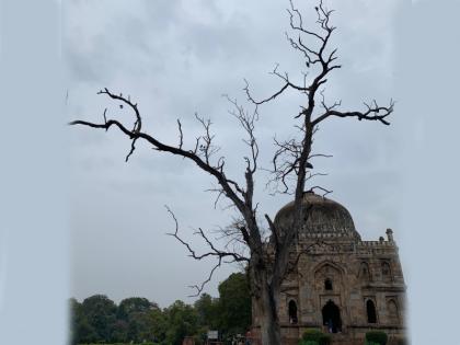 Delhi Weather Today 25 june 2025 dark clouds rain likely in Delhi ncr Know what IMD says | Delhi Weather Today: दिल्ली में सुबह होते ही छाया अंधेरा, आसमान में छाए काले बादल; जानें क्या कहता है IMD Delhi Weather Today 25 june 2025 dark clouds rain likely in Delhi ncr Know what IMD says | Delhi Weather Today: दिल्ली में सुबह होते ही छाया अंधेरा, आसमान में छाए काले बादल; जानें क्या कहता है IMD