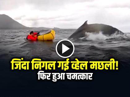 Whale Swallows Man And Release Him Within Seconds Video Goes Viral on social media | VIDEO: शख्स को जिंदा निगल गई व्हेल मछली!, फिर हुआ चमत्कार, देखें वीडियो