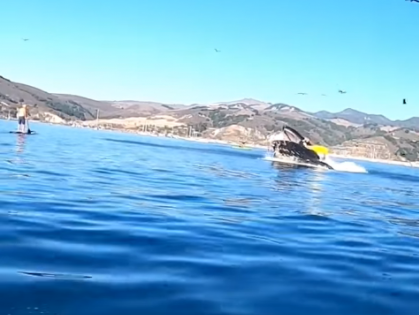 Girls were kayaking in the sea, whales attacked from below, see what happened in the viral video | समुद्र में लड़कियां कर रही थी कयाकिंग, नीचे से व्हेल ने आकर किया हमला, वायरल वीडियो में देखें फिर क्या हुआ