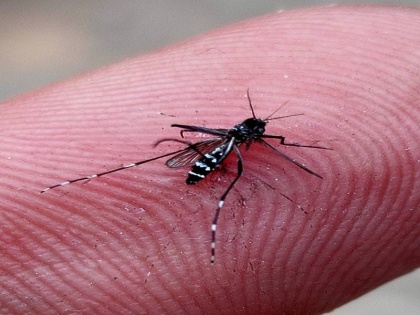 What usa North Dakota West Nile virus deadly mosquito-borne disease tips to prevent it | West Nile Virus: क्या है वेस्ट नाइल वायरस और क्यों अमेरिका के उत्तरी डकोटा का हेल्थ डिपार्टमेंट इससे निपटने में जुटा है, जानें मच्छर से फैली बीमारी और बचाव के टिप्स