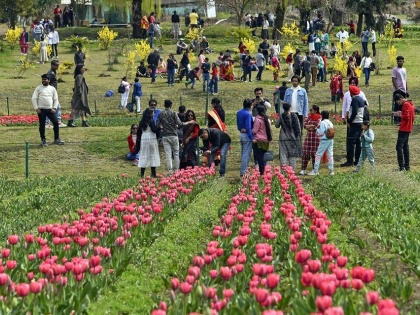 New record of tourists made in Tulip Garden order issued to close from today after 33 days | ट्यूलिप गार्डन में पर्यटकों का नया रिकॉर्ड बना, 33 दिनों के बाद आज से बंद करने का आदेश जारी