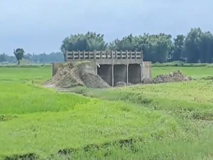 Bihar Araria Bridge worth Rs 3 crore built middle field no river, no road nitish sarkar nitin naveen see video watch | Bihar Araria Bridge: ना नदी, ना ही नाला, खेत में बना दिया पुल, 3 करोड़ की लागत, अररिया में चर्चा, देखें वीडियो