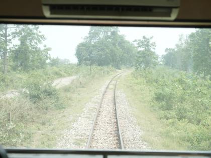 uttar pradesh tourists get thrill jungle safari from Vistadome coach in Dudhwa Tiger Reserve Know fare and time table | दुधवा टाइगर रिजर्व में विस्टाडोम कोच से पर्यटकों को मिलेगा जंगल सफारी का रोमांचक?, जानिए किराया और टाइम टेबल