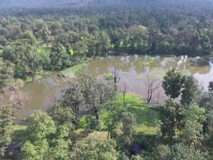 world environment day special 5 june Water revolution Gadchiroli forests Aniket Amte 30 ponds changed fate tribal villages see pics | विश्व पर्यावरण दिवस विशेषः गढ़चिरोली जंगलों में जल क्रांति?, अनिकेत आमटे के 30 तालाबों से बदली आदिवासी गांवों की तकदीर world environment day special 5 june Water revolution Gadchiroli forests Aniket Amte 30 ponds changed fate tribal villages see pics | विश्व पर्यावरण दिवस विशेषः गढ़चिरोली जंगलों में जल क्रांति?, अनिकेत आमटे के 30 तालाबों से बदली आदिवासी गांवों की तकदीर