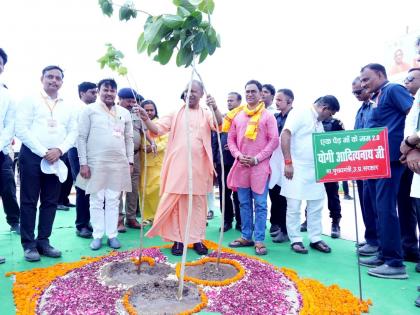 up Plantation campaign 37 crore saplings new record One tree name mother campaign CM Yogi planted Ayodhya Governor Anandiben planted Barabanki | पौधरोपण अभियानः 37 करोड़ पौधे, नया रिकार्ड, "एक पेड़, मां के नाम" अभियान में सीएम योगी ने अयोध्या और राज्यपाल आनंदीबेन ने बाराबंकी में रोपा