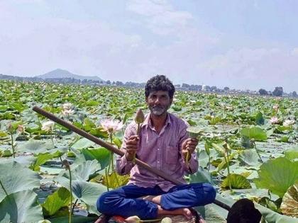 jammu kashmir Rare lotus flowers bloomed Wullar happiness Kashmiris after 25 years | कमल के दुर्लभ फूल खिले?, 25 साल बाद वुल्लर ने दी कश्मीरियों को खुशी jammu kashmir Rare lotus flowers bloomed Wullar happiness Kashmiris after 25 years | कमल के दुर्लभ फूल खिले?, 25 साल बाद वुल्लर ने दी कश्मीरियों को खुशी