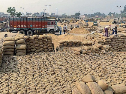 India To Allow Wheat Export Shipment Awaiting Customs Clearance | Wheat Export: गेहूं निर्यात की अनुमति देगा भारत, सीमा शुल्क विभाग की मंजूरी का इंतजार