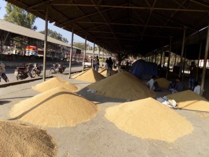 Madhya Pradesh Case registered against BJP leader for rotting wheat worth crores | मध्य प्रदेश: करोड़ों का गेहूं सड़ाने के मामले में भाजपा नेता पर मामला दर्ज