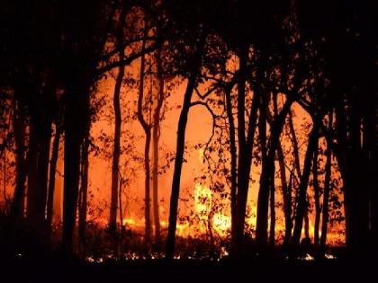 Forest fire deepens crisis in Canada western British Columbia region emergency declared | कनाडा के पश्चिमी ब्रिटिश कोलंबिया क्षेत्र में जंगल की आग से गहराया संकट, आपातकाल की घोषणा