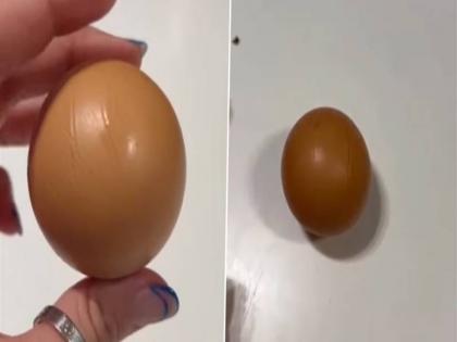 Woman found unique egg in Australia supermarket you will be surprised to know the price watch video | ऑस्ट्रेलिया के सुपरमार्केट में महिला को मिला अनोखा अंडा, कीमत जान हैरान हो जाएंगे आप, देखें वीडियो