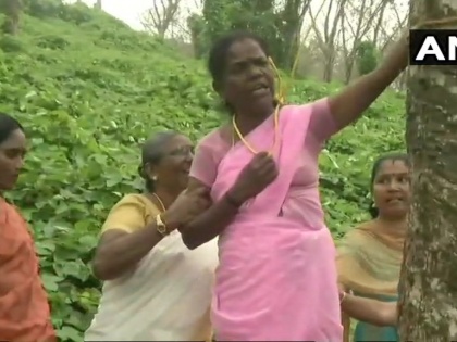 Sabarimala: A woman attempted to hang herself from a tree, Temple open on 17 oct | सबरीमाला मंदिर के खुलने से पहले ही केरल में हलचल, विरोध में महिला ने पेड़ से लटकर की जान देने की कोशिश