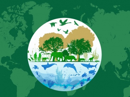 World Wildlife Day 2020 Theme, Significance and Impact of Biodiversity Loss | World Wildlife Day 2020: क्यों मनाया जाता है 'विश्व वन्यजीव दिवस'? जानिए इसका उद्देश्य और इतिहास