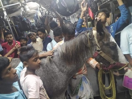a horse travel in local train in west bengal sealdah diamond harbour down local train photo goes viral eastern railway order probe | WB: भारी भीड़ वाले लोकल ट्रेन में घोड़े ने किया रेल का सफर, वायरल फोटो देख लोग रह गए दंग, रेलवे ने दिए जांच के आदेश