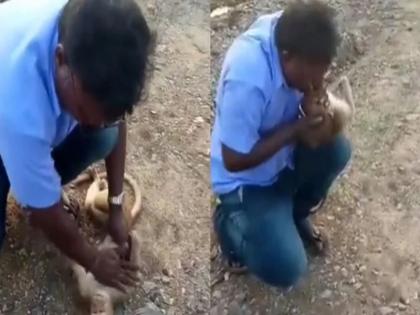 viral video shows how a tamil nadu man save a monkey live from school life education internet reacts | गजब! मुंह से सांस देकर बचाई बंदर की जान, वायरल Video लोग बोले वाह-वाह