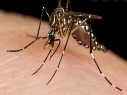 Maharashtra Pune 79 villages declared vulnerable to Zika virus health department on alert | महाराष्ट्र के पुणे में 79 गांव पर जीका वायरस का मंडरा रहा है खतरा, हाई अलर्ट पर स्वास्थ्य विभाग