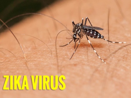 Zika virus 13 new cases Kanpur total number infected 79 first patient confirmed Kannauj first case was found 23 October | जीका वायरसः कानपुर में 13 नए केस, कुल संक्रमितों की संख्‍या 79, कन्‍नौज में पहले मरीज की पुष्टि, 23 अक्‍टूबर को मिला था पहला मामला