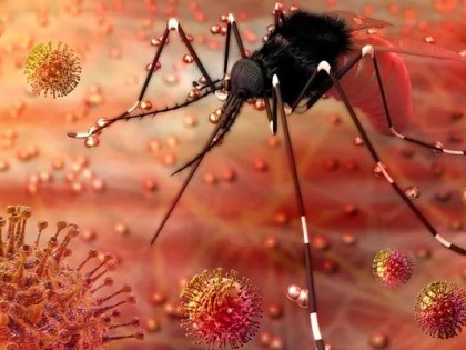 Rajasthan: 50 people have tested positive for Zika virus in Jaipur | जयपुर में जीका वायरस का कहर जारी, 50 तक पहुंची मरीजों की संख्या
