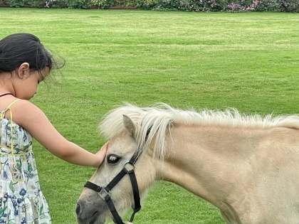 fromer indian cricket captain mahendra singh dhoni daughter ziwa spend time horse sakshi dhoni shares | एमएस धोनी के घर आया नया मेहमान, पत्नी और बेटी ने सोशल मीडिया पर शेयर की तस्वीर