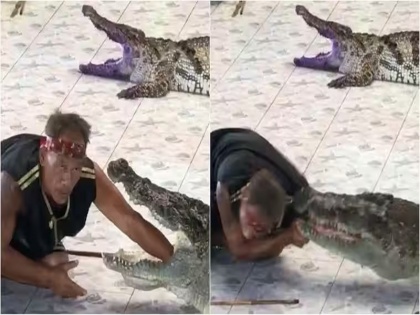 Zoo trainer had to put his hand in the crocodile mouth badly injured in the attack old video | Viral Video: चिड़ियाघर के प्रशिक्षक को मगरमच्छ के मुंह में हाथ डालना पड़ा भारी, हमले में बुरी तरह घायल हुआ शख्स