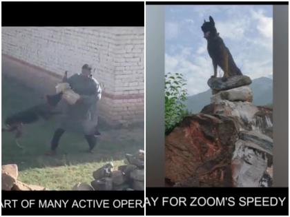 After being shot army dog Zoom died during treatment handler weeping bad condition | गोली लगने के बाद आतंकवादियों से लड़ने वाला जाबांज आर्मी डॉग 'जूम' नहीं रहा, इलाज के दौरान हुई मौत, हैंडलर का रो-रो कर बुरा हाल