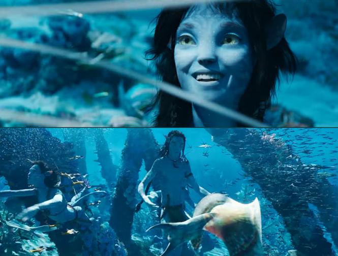 Avatar the way of water Release Date | avatar-the-way-of-water-release-date | Latest bollywood Photos at Lokmatnews.in