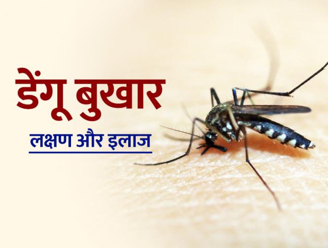 dengue fever symptoms | dengue-fever-symptoms | Latest health Photos at Lokmatnews.in