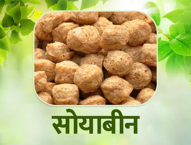 top 10 protein foods | top-10-protein-foods | Latest health Photos at Lokmatnews.in top 10 protein foods | top-10-protein-foods | Latest health Photos at Lokmatnews.in