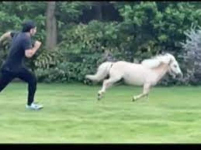 ms dhoni takes part in a race against his horse sakshi shares adorable video on instagram | महेंद्र सिंह धोनी ने लगाई अपने घोड़े के साथ रेस, पत्नी साक्षी ने शेयर किया वीडियो ms dhoni takes part in a race against his horse sakshi shares adorable video on instagram | महेंद्र सिंह धोनी ने लगाई अपने घोड़े के साथ रेस, पत्नी साक्षी ने शेयर किया वीडियो