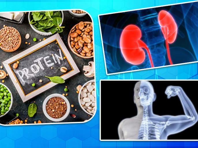 Eat High Protein diet side effects health risks high protein foods