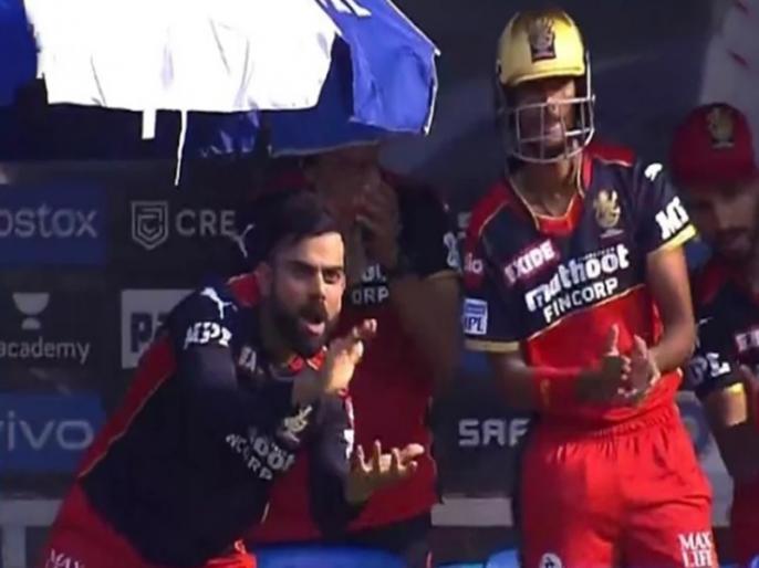 IPL 2021 RCB vs KKR virat kohli applauding glenn maxwell video goes viral | IPL 2021: ग्लेन मैक्सवेल की ताबड़तोड़ बल्लेबाजी ने जीता कप्तान विराट कोहली का दिल, शॉट देख पीटी जमकर ताली और फिर... IPL 2021 RCB vs KKR virat kohli applauding glenn maxwell video goes viral | IPL 2021: ग्लेन मैक्सवेल की ताबड़तोड़ बल्लेबाजी ने जीता कप्तान विराट कोहली का दिल, शॉट देख पीटी जमकर ताली और फिर...