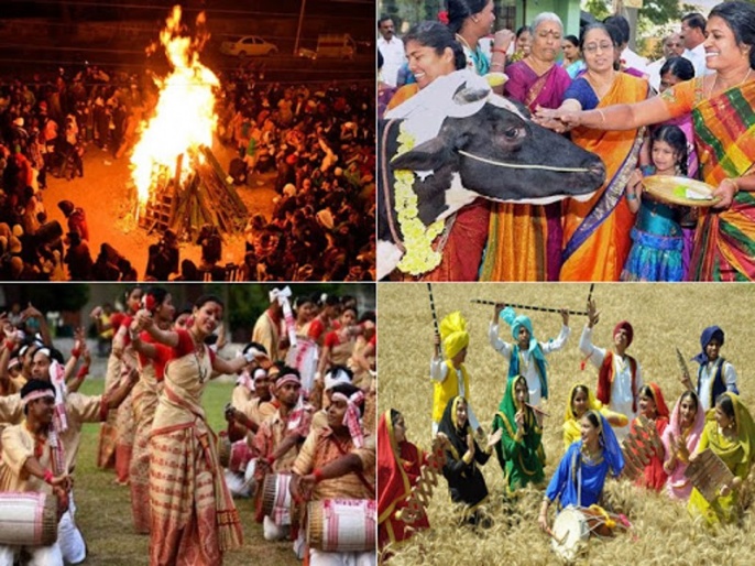 In northern india they harvest their. Holy Hindu Harvest Festival. Hindu Harvest Festival in India. Хинди фестиваль урожай. Картинка Hindu Harvest Festival.