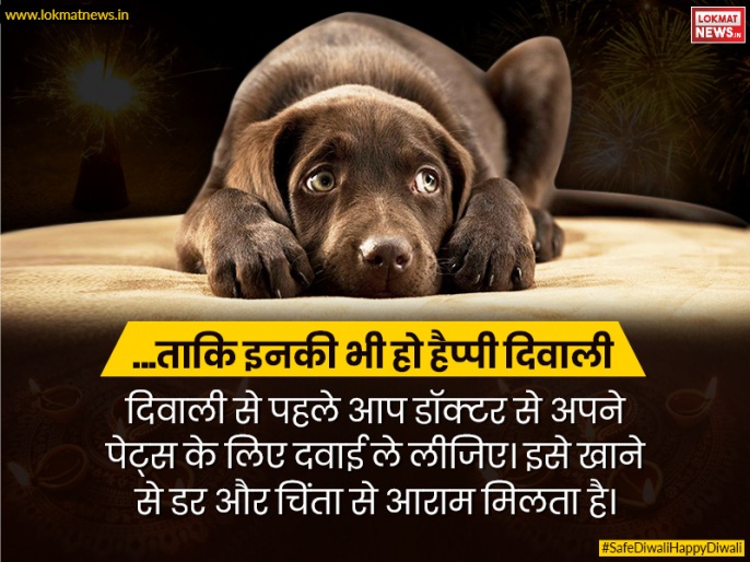 Diwali Pets Care Tips In Hindi| दिवाली के दिन पालतू पेट्स की देखभाल के आसन  तरीके| Tips To Care For Your Pets And Stray Dogs This Diwali 2018